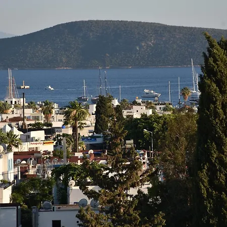 Laden 3* Bodrum