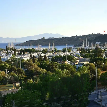 Otel Laden 3*