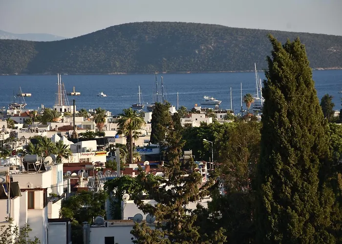 Laden 3* Bodrum